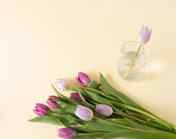 用花瓶和新鲜的郁金香在黄色的背景上设计的春季插花。浪漫的场景。图片下载