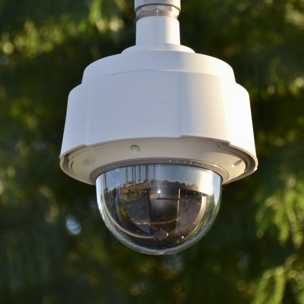 在米尔杜拉的树林里，一个户外安全或监控摄像头的近全帧视图图片下载