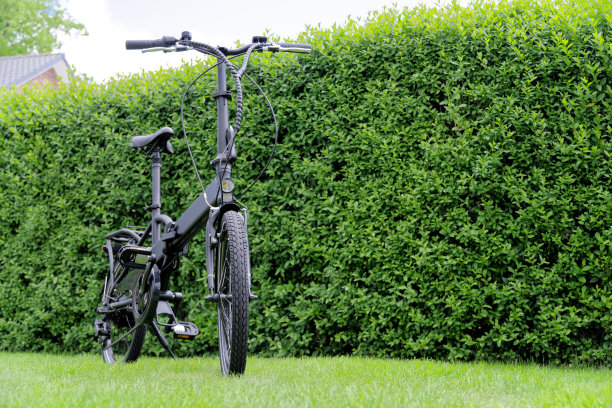 折叠自行车靠在绿色树篱上图片下载