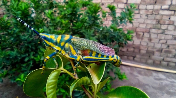 大自然的颜色图片下载