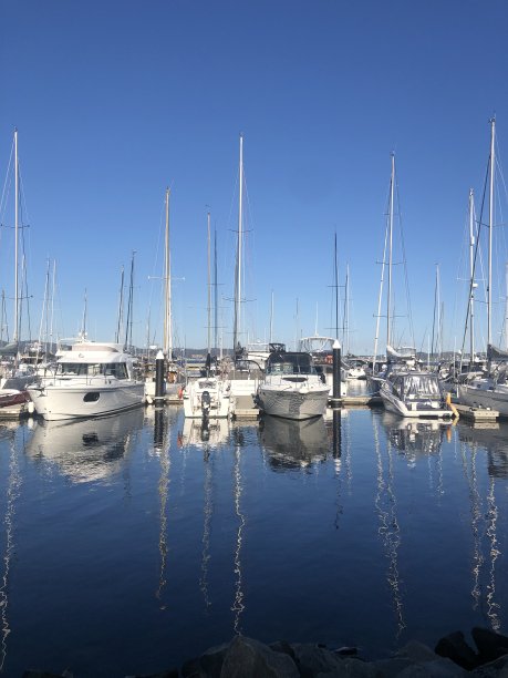 轮船在港口排好队图片下载