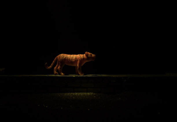 一个微型狮子的剪影站在木桌上。创意装饰与彩色背光与雾。有选择性的重点图片下载