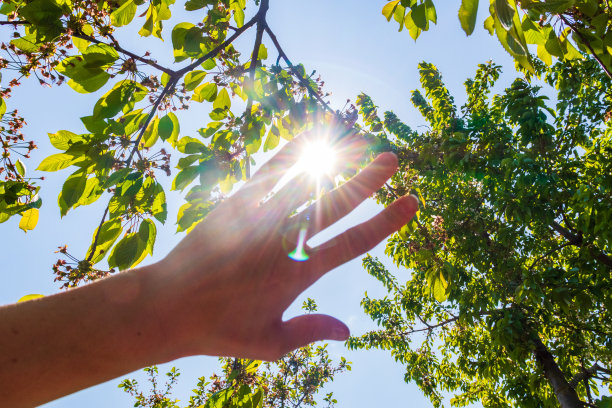 无脸图片，人的手覆盖阳光，阳光透过手，人的手覆盖太阳的形象，明亮的阳光，孤立在公园或森林背景。自然的概念。图片下载