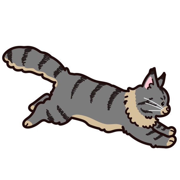 简单可爱的灰色缅因猫跳跃轮廓图片下载