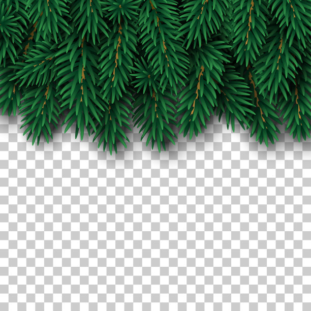 圣诞树绿边图片下载