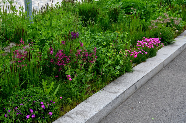 在城市设置的彩色草原花的花坛吸引昆虫和蝴蝶图片下载