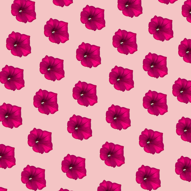 花在柔和的粉红色背景上繁殖图片下载