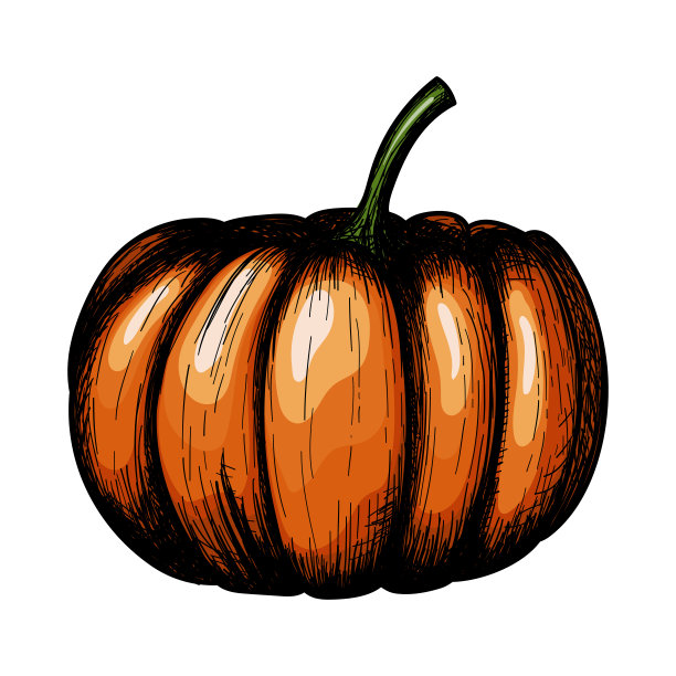 南瓜图标图片下载