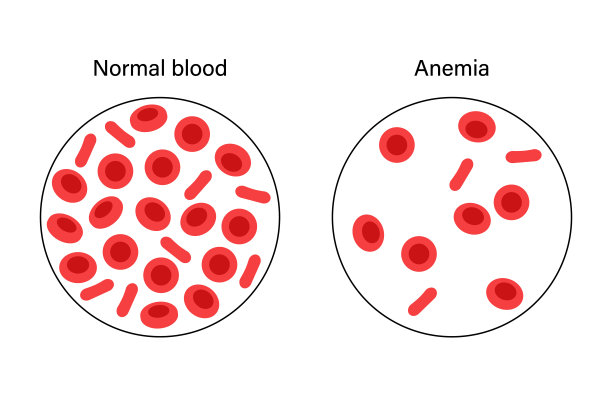 血液结构概念图片下载