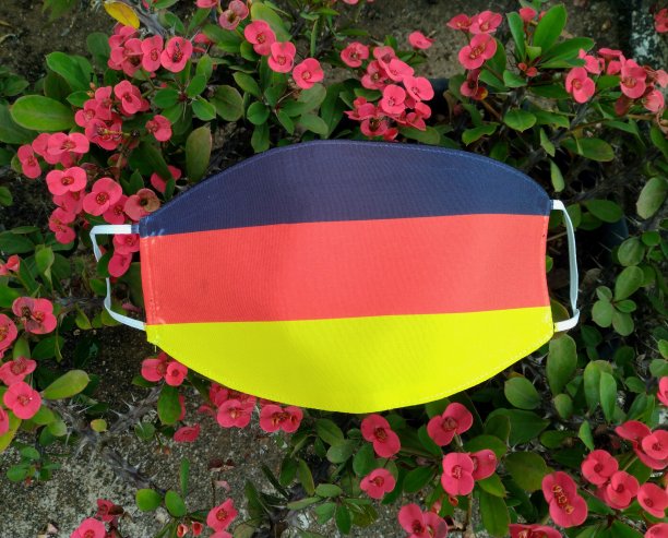 德国2020年欧洲杯防电晕口罩图片下载