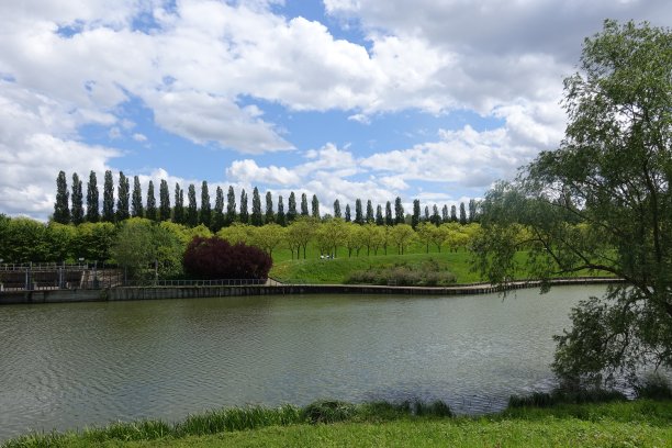 池塘在一个风景如画的公园Île-de-France人行桥木桥和金属桥的春天季节图片下载