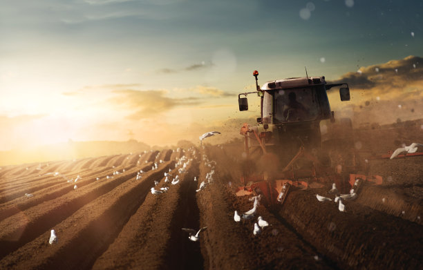 拖拉机在田里工作图片下载