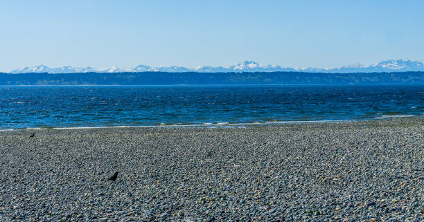 潮汐池和山脉图片下载
