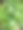 小长春花图片下载