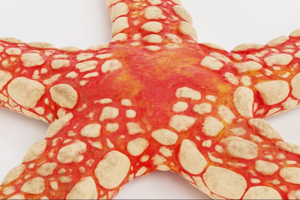 项链海星逼真的3D渲染图片下载