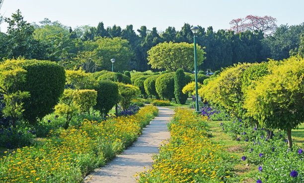 绿地小径，园林景观图片下载