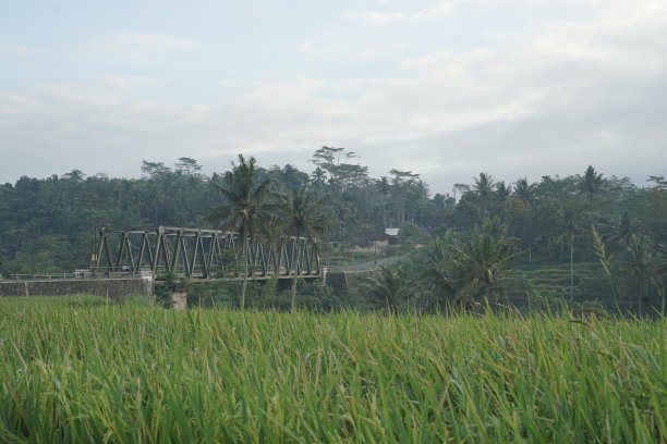 乡村的风景图片下载