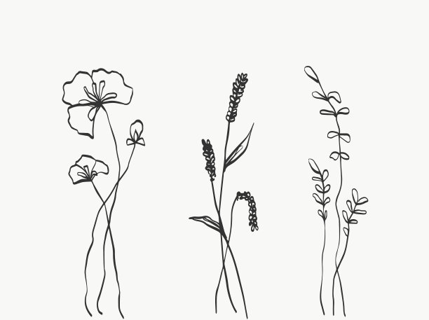 设置花线艺术抽象，现代或简约图片下载