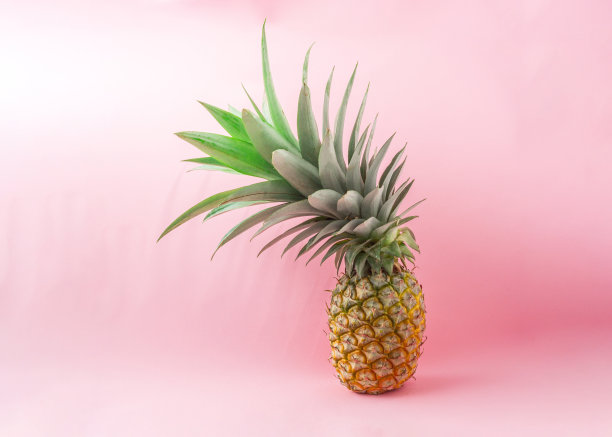 浅粉色背景上的菠萝。图片下载