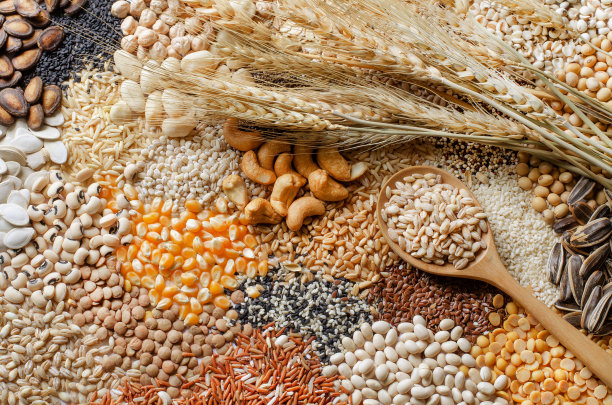 干式有机小麦种子在木勺上对各种各种谷物和谷物种子堆，为健康或清洁的食品配料或农产品的概念图片下载