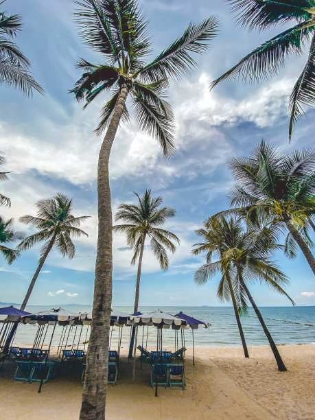 泰国春武里芭堤雅，新冠肺炎封锁期间宗田海滩图片下载