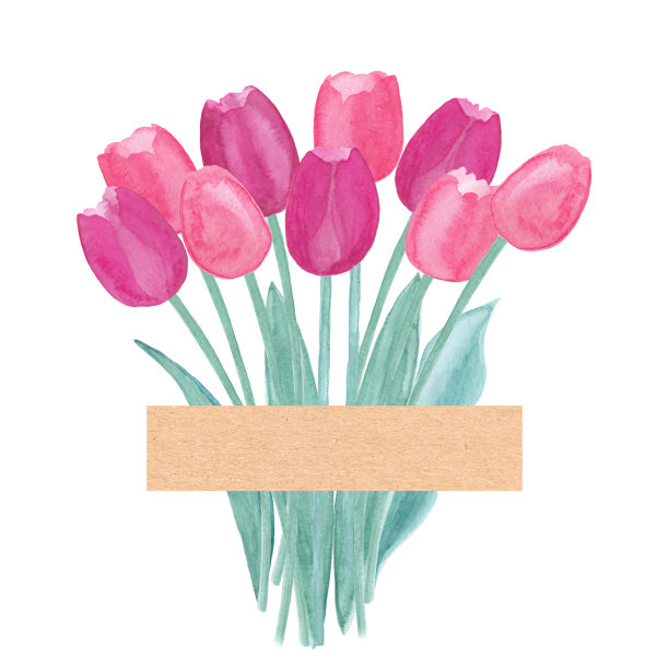 春天郁金香花束图片下载