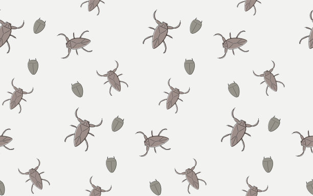 无缝图案的食用昆虫，巨型水虫和潜水甲虫图片下载