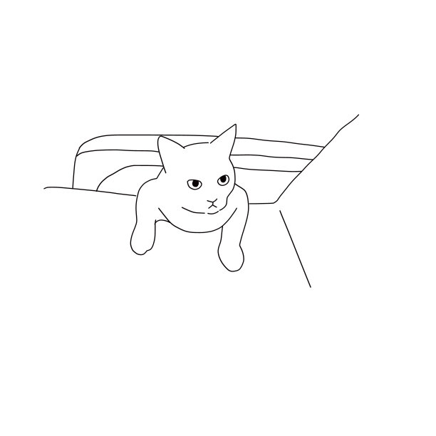 猫的全身线条画图片下载