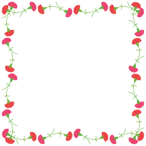 康乃馨框架图片下载