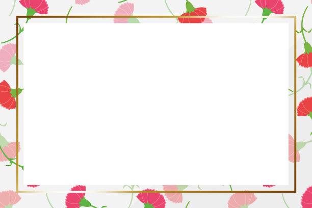 康乃馨框架图片下载