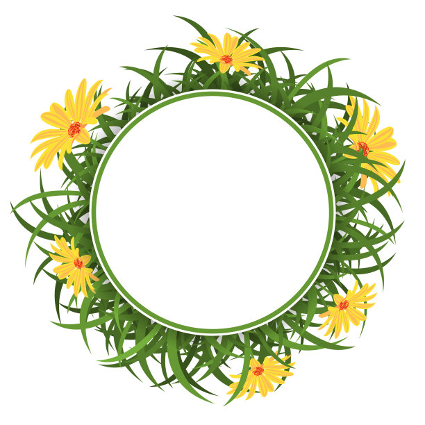圆形的边框上有绿草和黄色的雏菊。图片下载