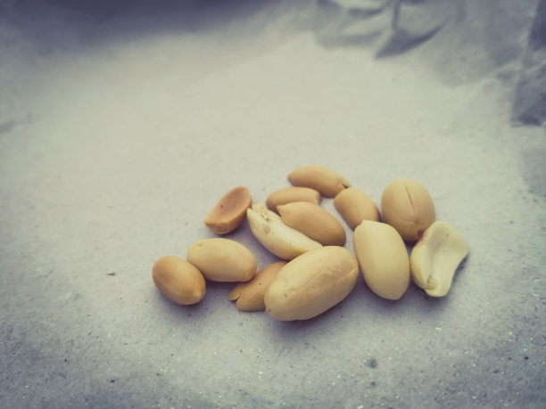 花生子叶图片下载