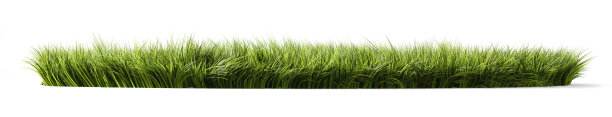 白色背景上的绿草。三维演示图片下载
