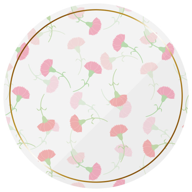 康乃馨框架图片下载