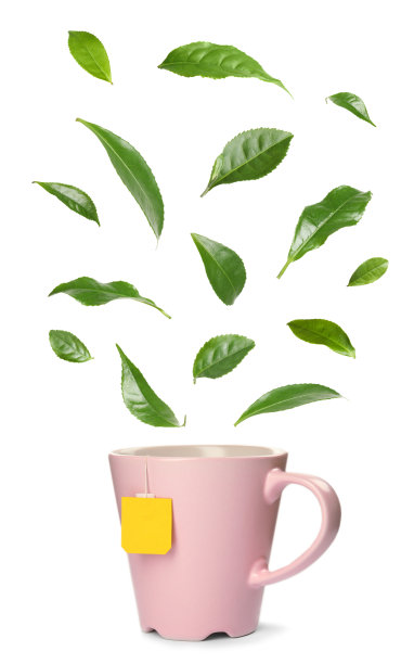 一杯热茶和飘落的绿叶在白色的背景图片下载