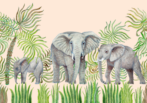 无缝边界水彩画草原野生动物。手绘非洲象，棕榈树叶，草，草本植物，灌木孤立在米色的背景图片下载
