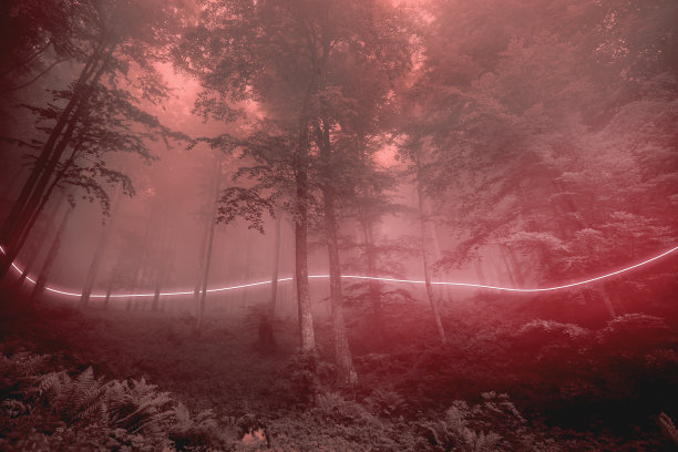 长长的红色霓虹线在神秘的迷雾森林里图片下载
