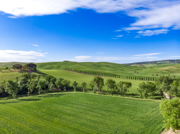 托斯卡纳的皮恩扎景观与绿色的小麦山丘图片下载