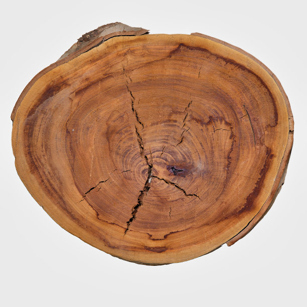 天然木材切片。特写镜头。孤立。平的。白色背景上的质朴的木制唱片。副本的空间。股票的形象。图片下载