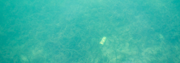 一个旧罐子躺在湖底图片下载