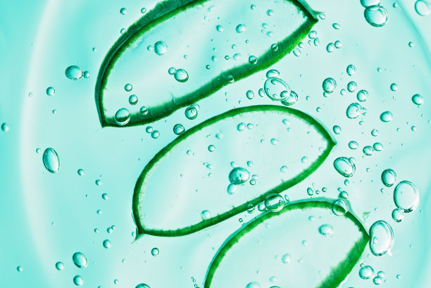 芦荟切片纹理与凝胶在蓝色背景。图片下载