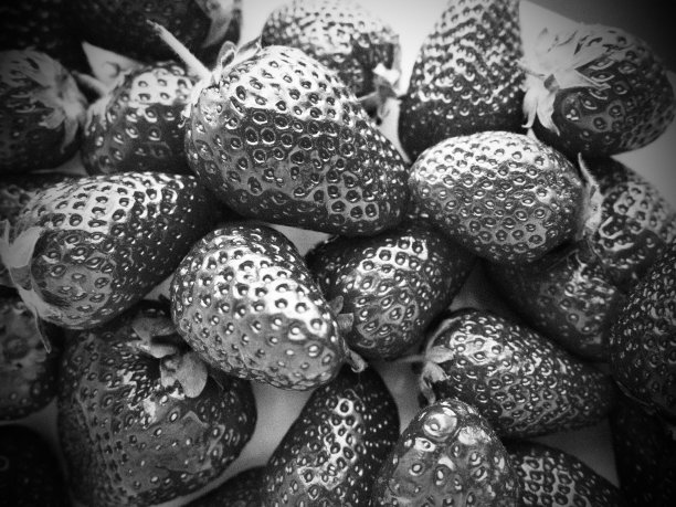 草莓。成熟美味的大花园草莓。健康的食物，维生素和素食。有食物的静物。副本的空间。平的。黑白摄影图片下载