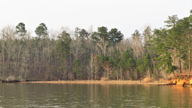湖滩达到图片下载