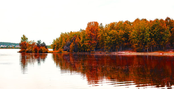 秋天的森林。图片下载