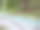 有雨滴的树的无叶细枝图片下载