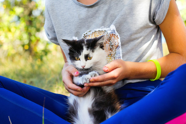 散焦女孩玩着小猫，黑白相间的小猫咪。大自然绿色的夏日背景。女孩抚摸宠物。热爱动物的概念。莲花。的焦点图片下载