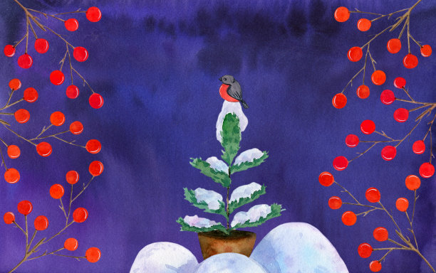 杉树上的红腹灰雀图片下载