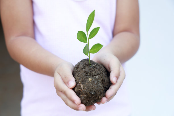 年轻的女孩，她手里拿着树苗图片下载