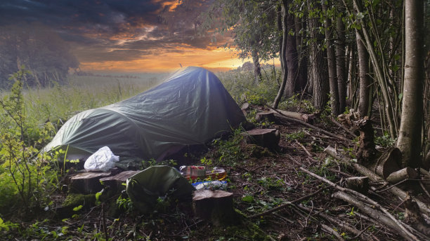 在树林里睡觉用的帐篷图片下载