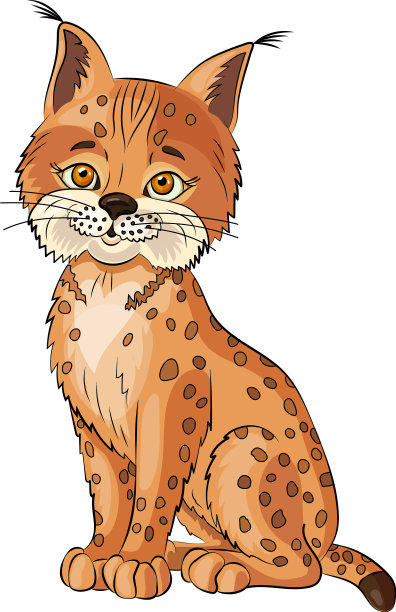 山猫在白色的背景孤立的山猫图片下载